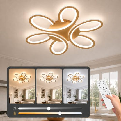Modern LED Ceiling Light