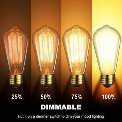 E26 LED Edison Bulbs 6