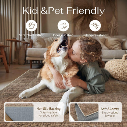 Classic Brown 3x5 Neutral Area Rugs for Living Room (Classic Brown / 3' x 5' (Rectangular))