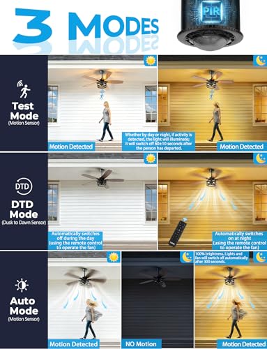 Outdoor Ceiling Fans with Light
