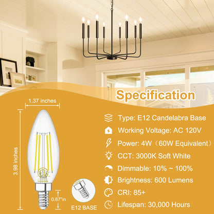 24 Pack E12 Chandelier LED Light Bulbs 60W Equivalent 3000K Warm White (24 Count (Pack of 1))