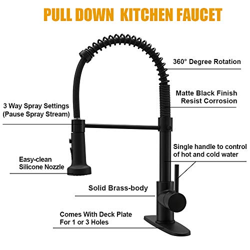 Kitchen Sink Faucet
