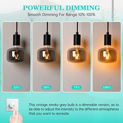 Large Decorative LED Edison Light Bulb
