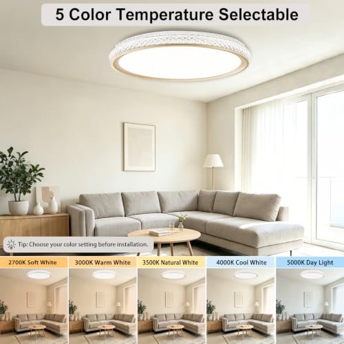 LED Flush Mount Ceiling Light