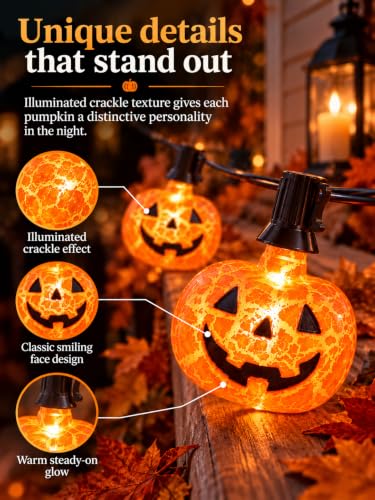 10.5Ft Halloween Pumpkin String Lights (Orange Pumpkin Lights / 11.5FT)