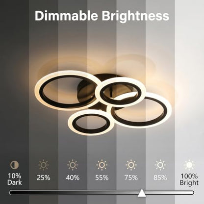 Modern LED Ceiling Light