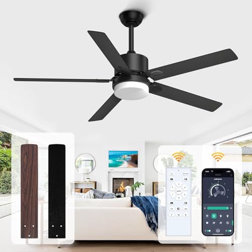 Black Ceiling Fan