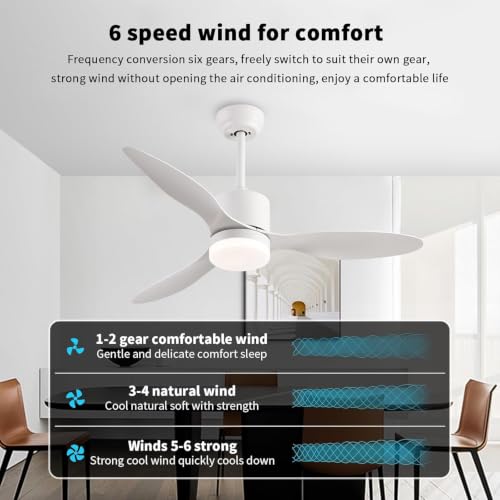 42'' Ceiling Fans with Lights and Remote