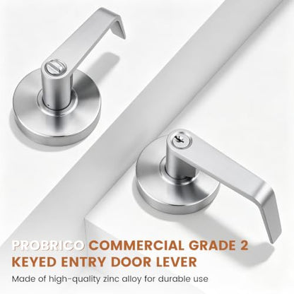 Commercial Door Handle