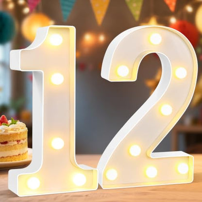 Led Number Light