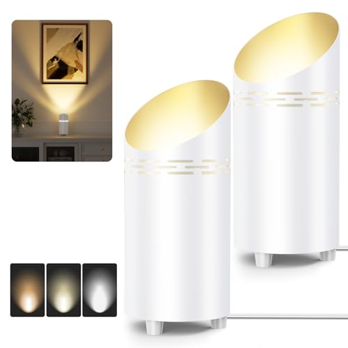 2 Pack Uplights Indoor Floor Can Lights