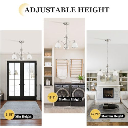 6 Light Chandelier