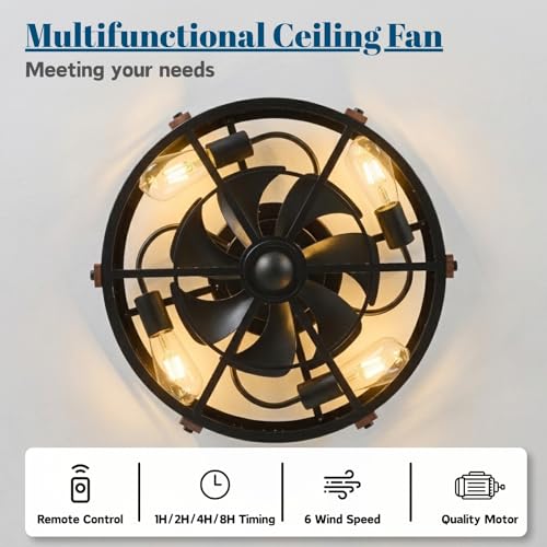 20" Black Farmhouse Caged Ceiling Fan with Light & Remote