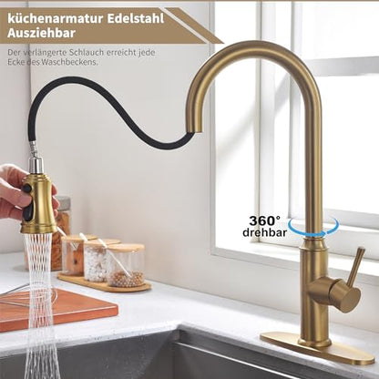 Kitchen Faucet with Pull Down Sprayer