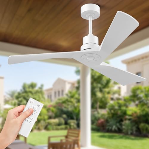 Ceiling Fan and Remote Control Outdoor Ceiling Fan
