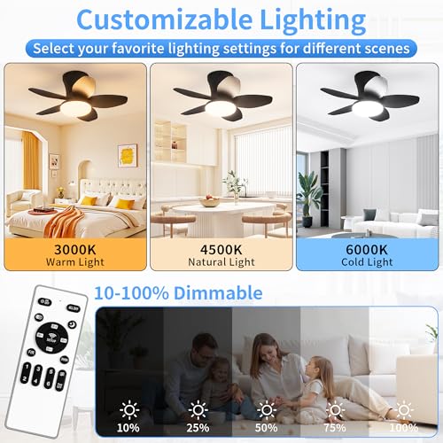 Ceiling Fan with Lights