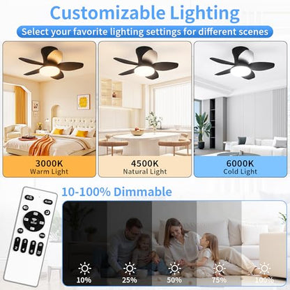 Ceiling Fan with Lights