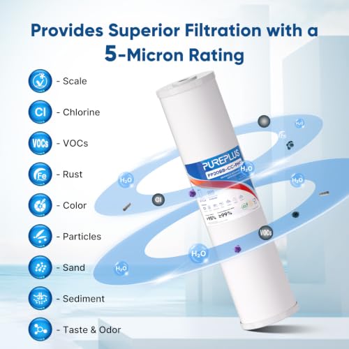 PP-RFN20BB-C water filter combo