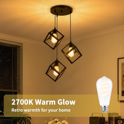 E26 Edison Bulbs