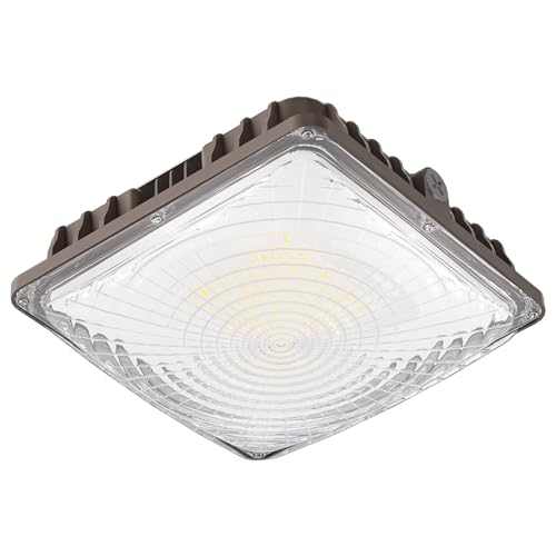 LED Canopy Light