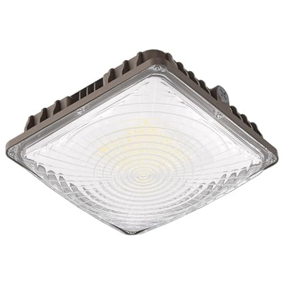 LED Canopy Light
