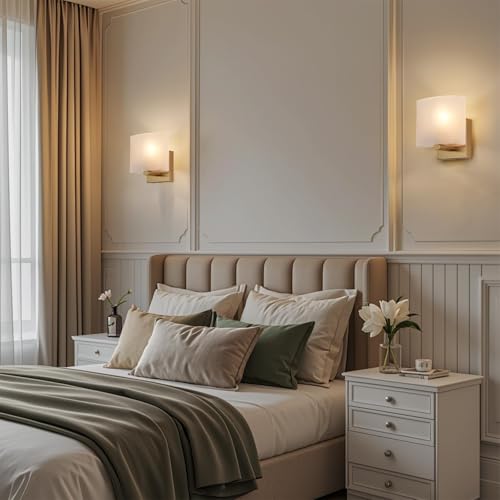 Modern Acrylic Shade Wall Light Fixture