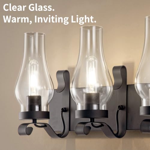 Vintage Farmhouse Bathroom Vanity Lights (Black)