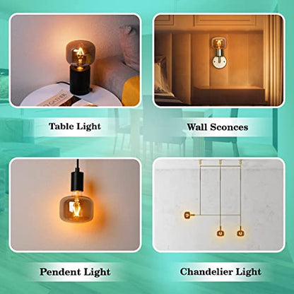 Large Decorative LED Edison Light Bulb