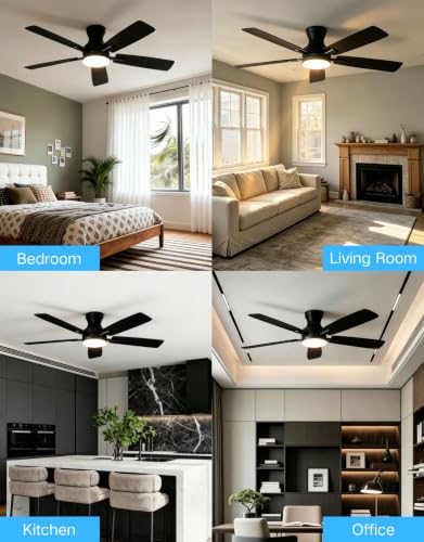 Ceiling Fans with Lights