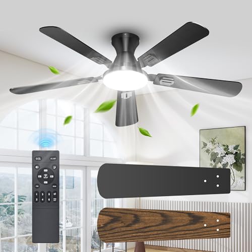 Ceiling Fans with Lights