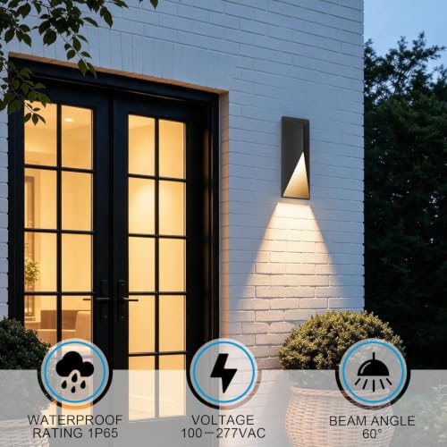 Black LED Outdoor Wall Light 2 Packs