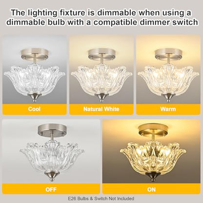 Semi Flush Mount Ceiling Light