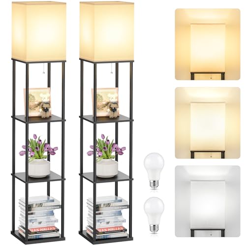 2 Pack Shelf Floor lamp