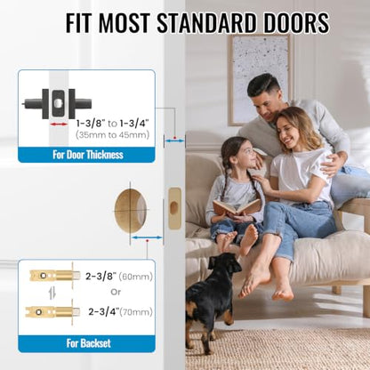 Entry Door Handles with Lock and Key (Matte Black)