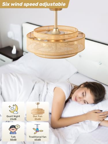 20" Boho Ceiling Fan with Light