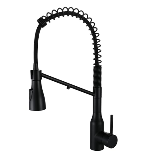 Kitchen Faucet with Pull Down Sprayer and Pot Filler