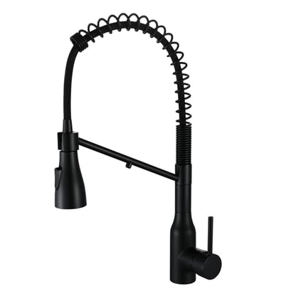 Kitchen Faucet with Pull Down Sprayer and Pot Filler