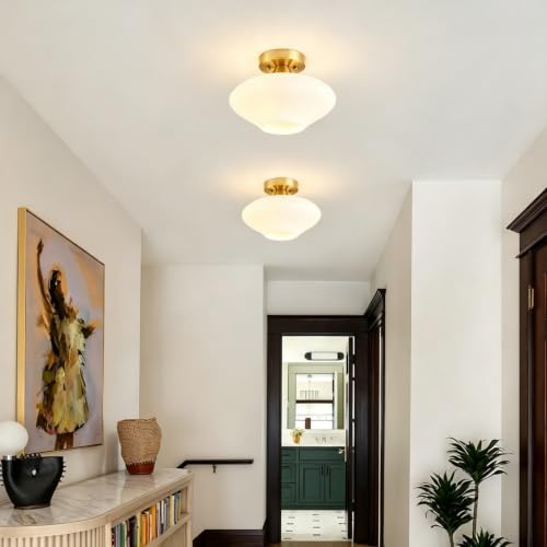 Modern Ceiling Light