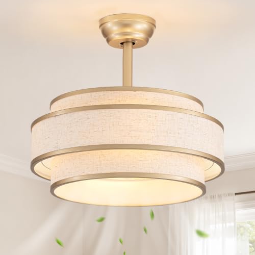 Boho Caged Fandelier Ceiling Fans with Lights