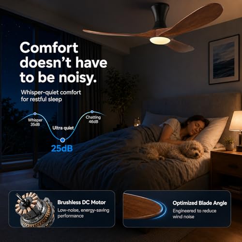 low profile ceiling fan with Light