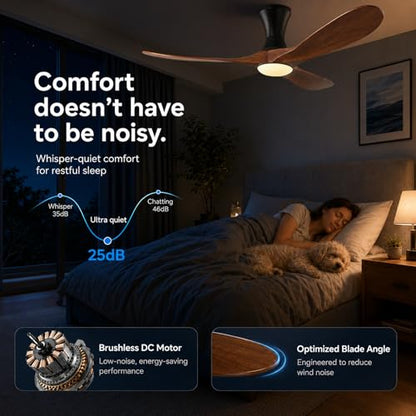 low profile ceiling fan with Light