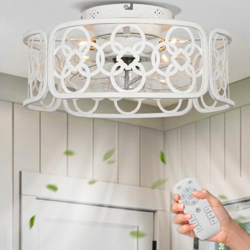 Ceiling Fan with Light
