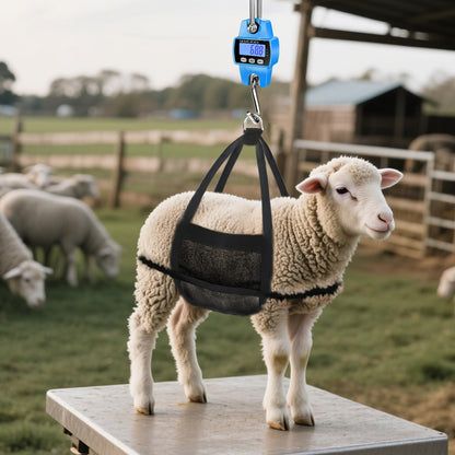 660lb Digital Hanging Scale (Blue / 660lbs)