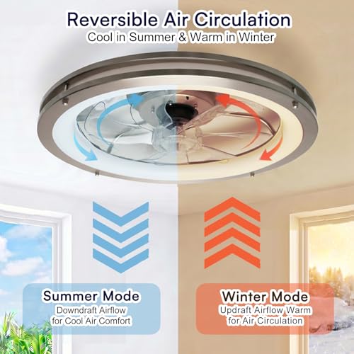 Ceiling Fans with Lights