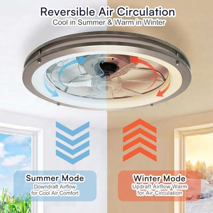 Ceiling Fans with Lights