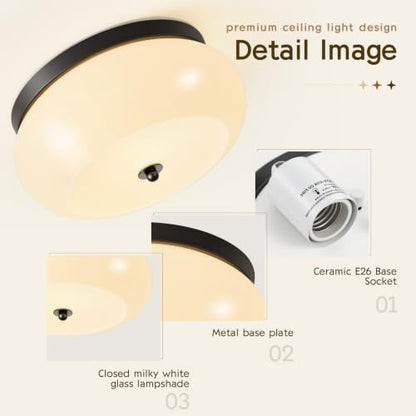 Modern Ceiling Light