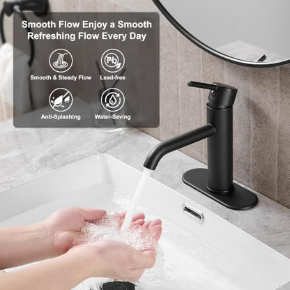 Bathroom Faucet (Matte Black)