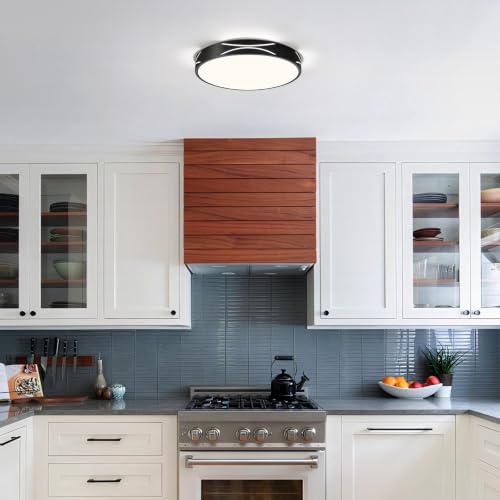 Modern Flush Mount Ceiling Light Fixture