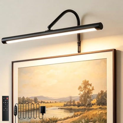 Plug in Picture Light for Wall