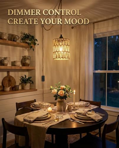Dimmable Boho Hanging Lamp with Plug in Cord